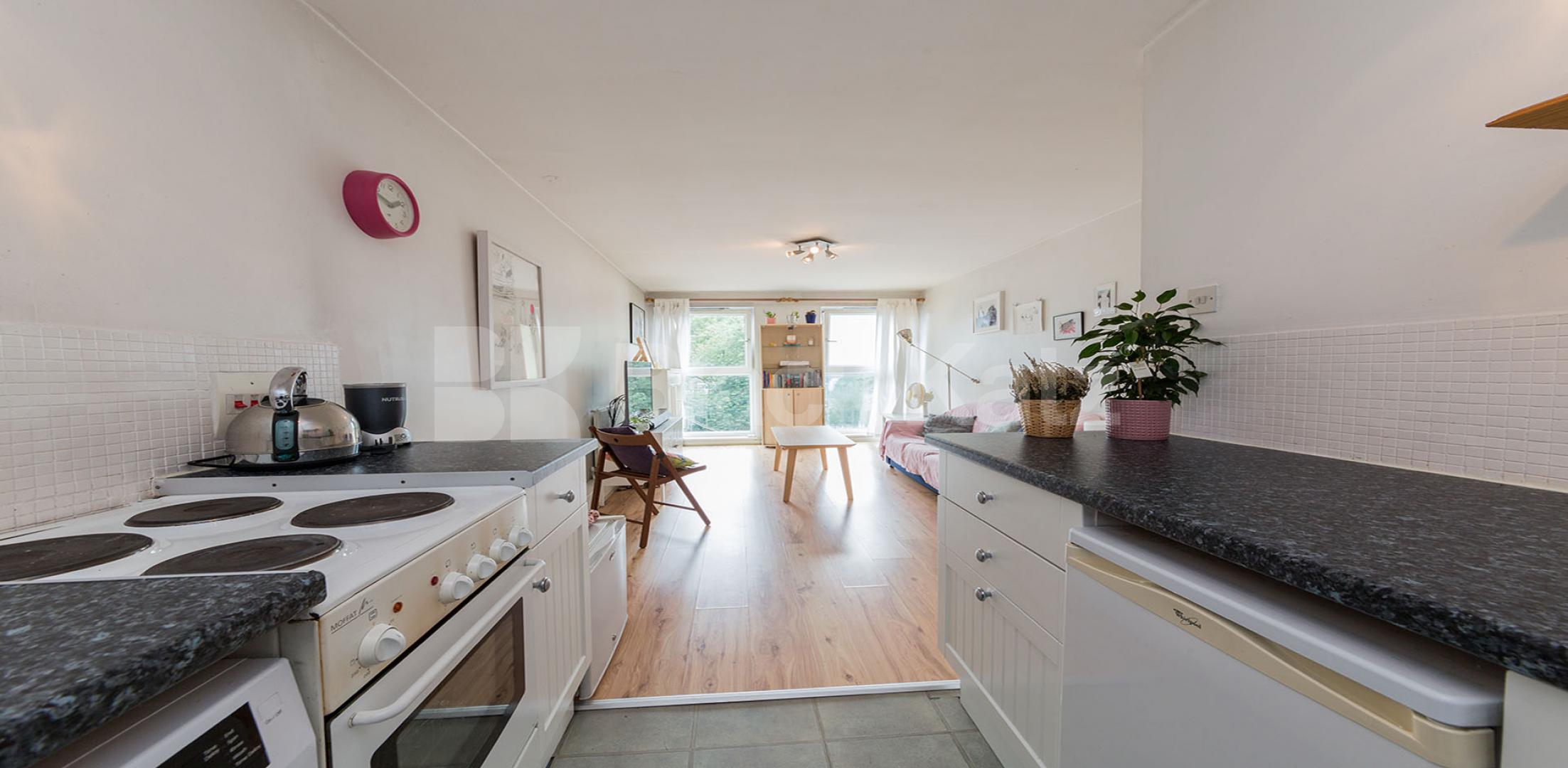 			NEW INSTRUCTION, 1 Bedroom, 1 bath, 1 reception Flat			 Elia Street, ANGEL N1